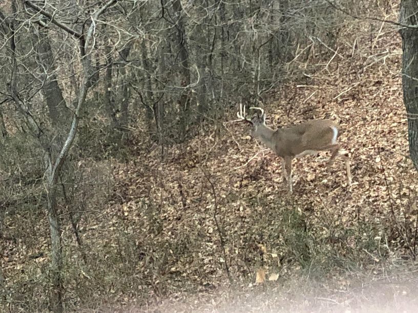 Patoka Sportsman 12-19-20