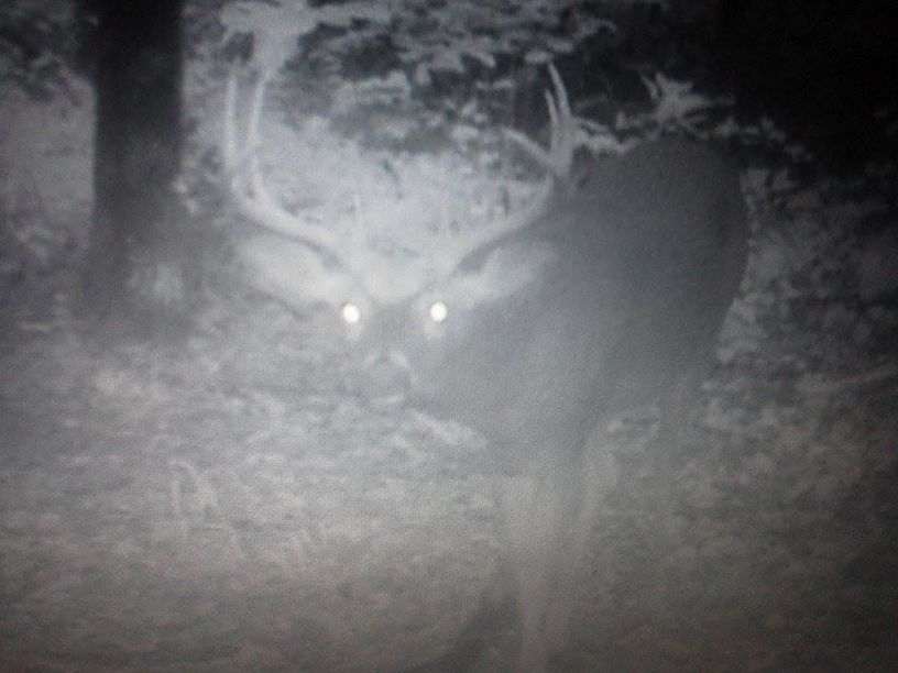 Patoka Sportsman 7-27-19