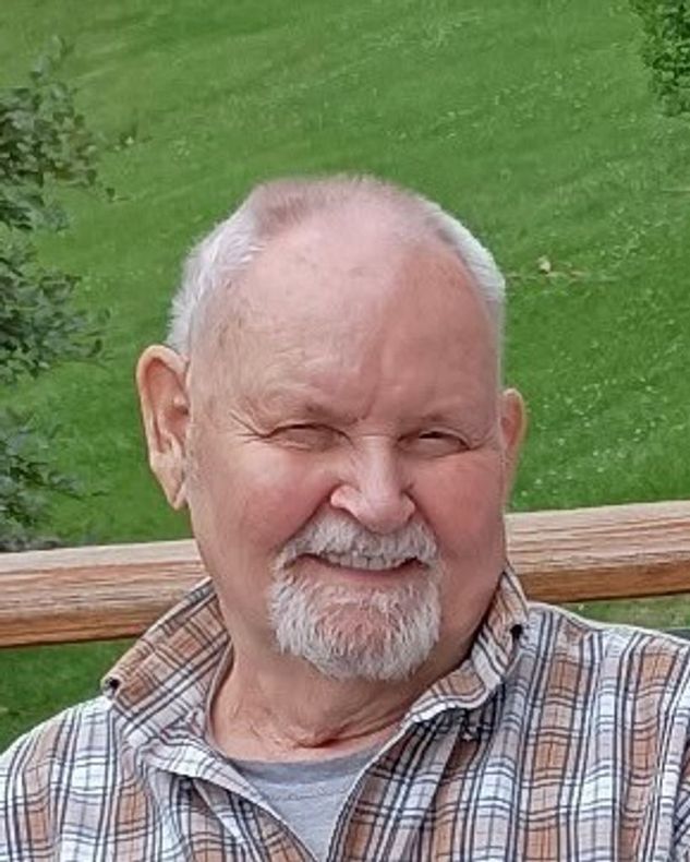 David Wendell Holman, of Shoals