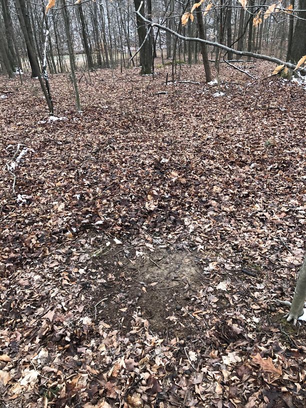 Patoka Sportsman 12-25-21