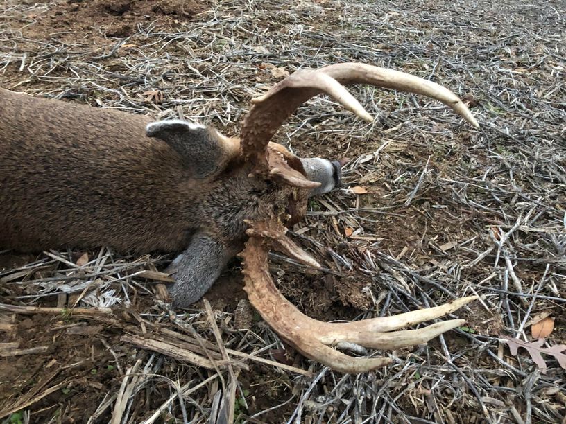 Patoka Sportsman 12-14-19