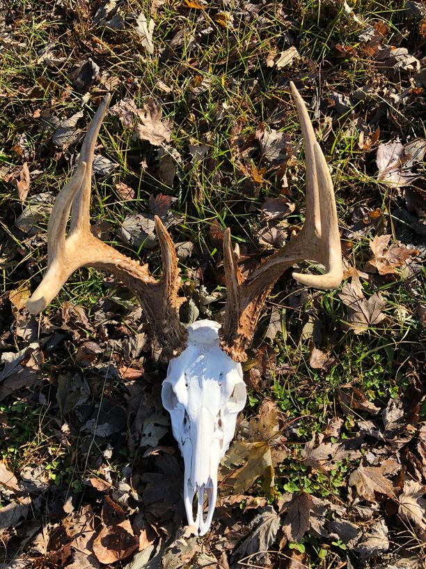 Patoka Sportsman 12-7-19