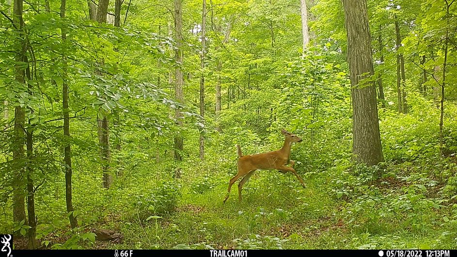 Patoka Sportsman 7-2-22