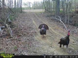 Patoka Sportsman 3-12-22