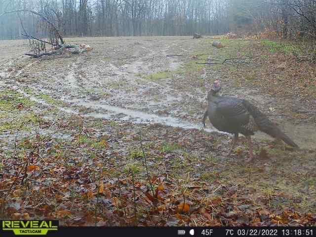 Patoka Sportsman 4-9-22