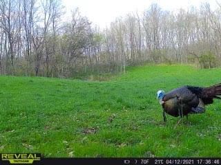 Patoka Sportsman 5-7-22