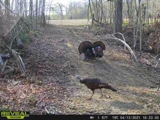 Patoka Sportsman 5-1-21