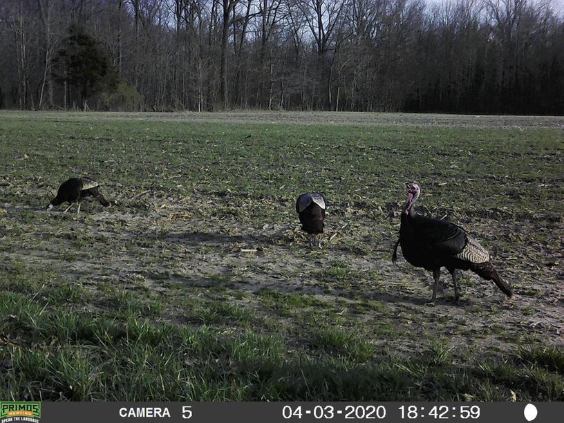 Patoka Sportsman 4-11-20