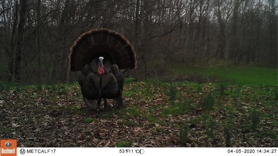 Patoka Sportsman 5-9-20