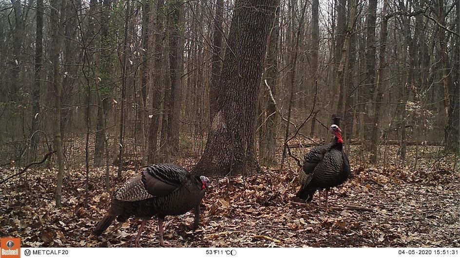 Patoka Sportsman 5-16-20