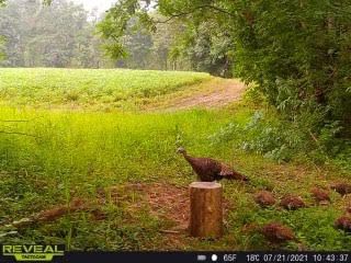 Patoka Sportsman 8-28-21