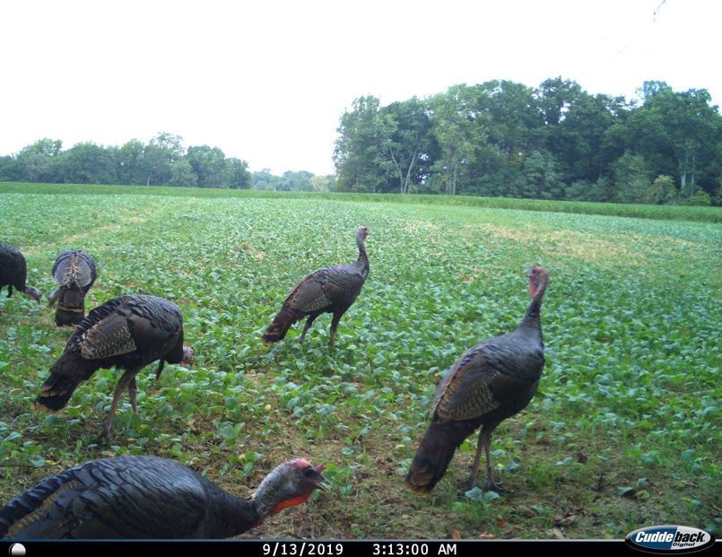 Patoka Sportsman 3-26-22