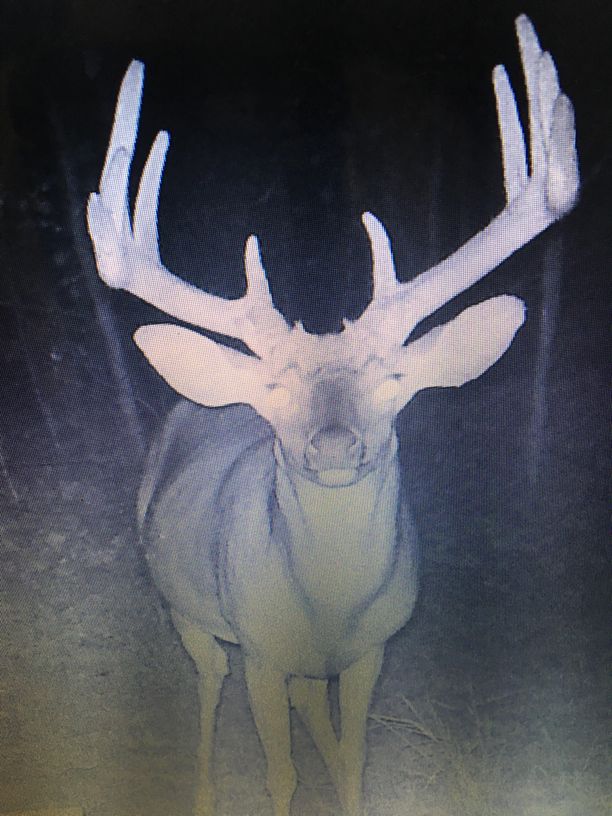 Patoka Sportsman 11-2-19