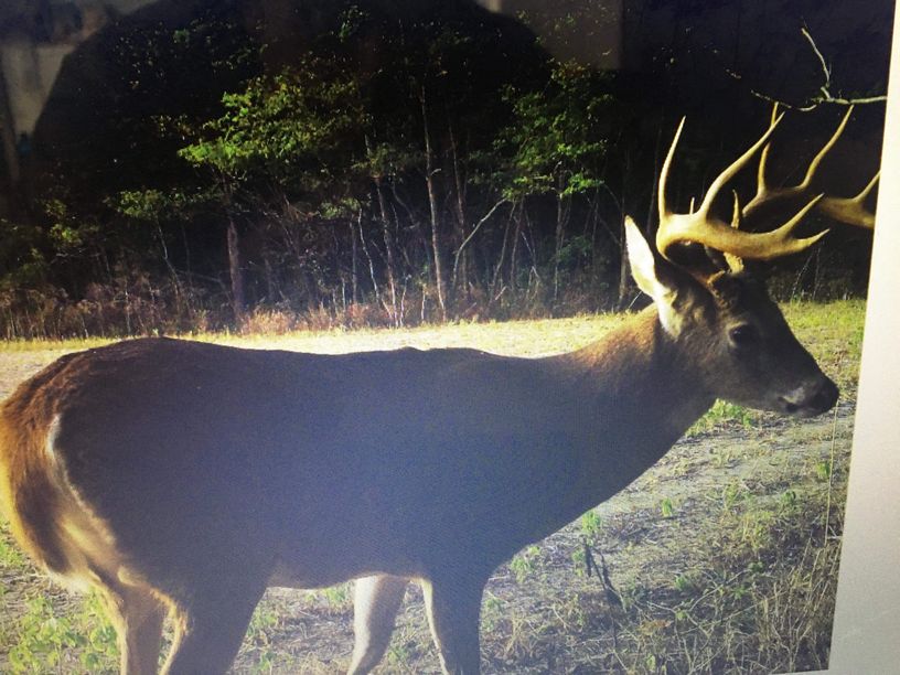 Patoka Sportsman 11-23 & 11-24-19