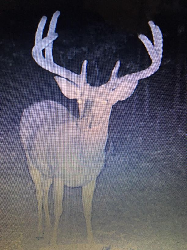 Patoka Sportsman 9-7-19