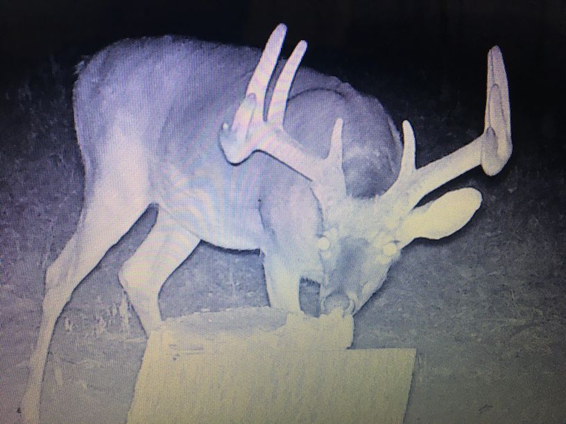 Patoka Sportsman 9-14-19