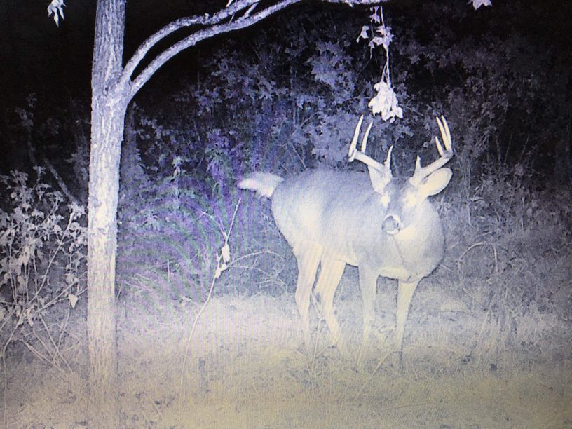 Patoka Sportsman 11-17-18