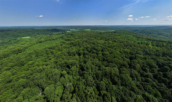Gov. Braun & Indiana DNR Announce Expansion to Martin State Forest