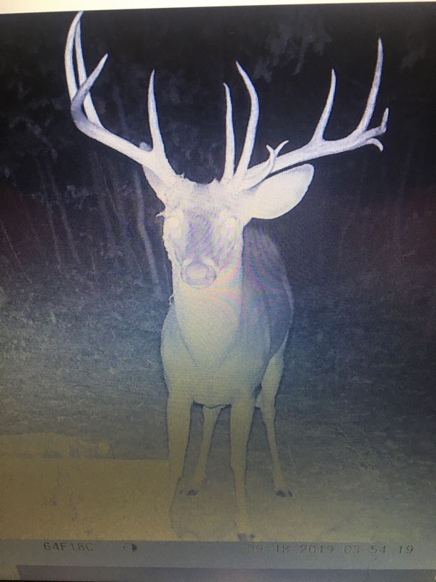 Patoka Sportsman 9-28-19