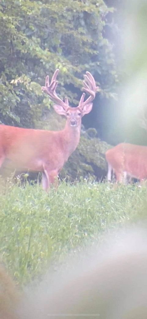 Patoka Sportsman 8-29-20