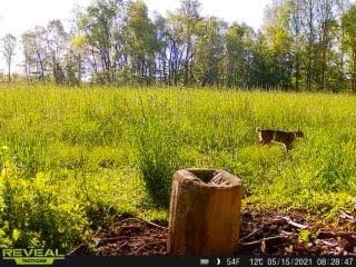 Patoka Sportsman 5-29-21