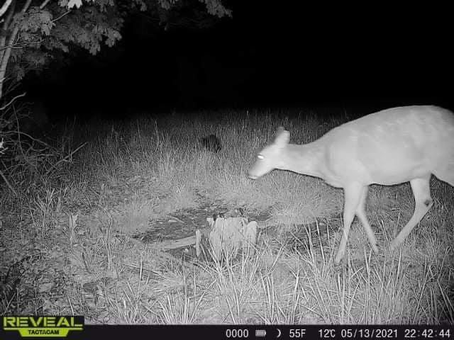 Patoka Sportsman 5-22-21