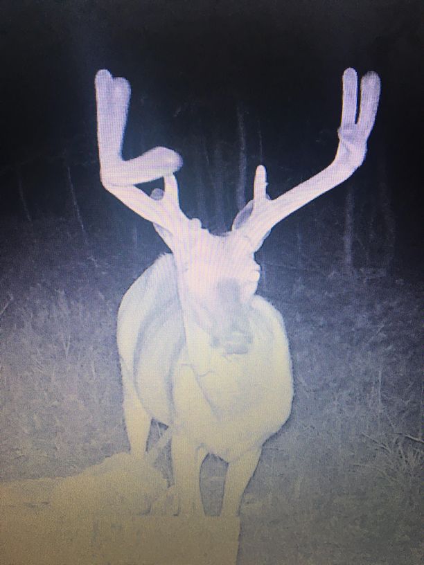 Patoka Sportsman 7-13-19