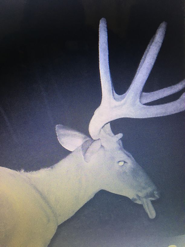 Patoka Sportsman 8-24-19