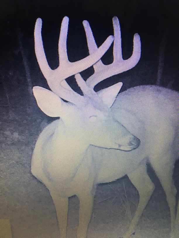 Patoka Sportsman 8-31-19