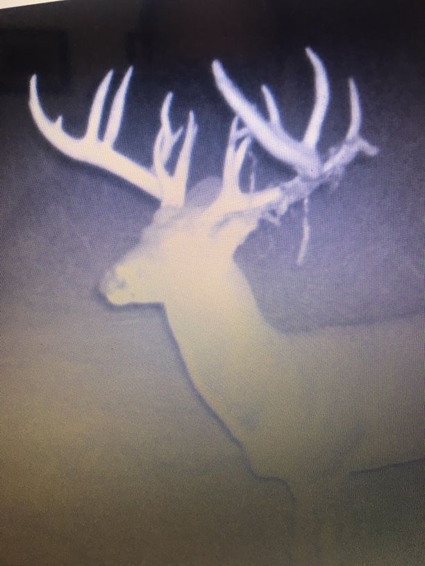 Patoka Sportsman 10-5-19