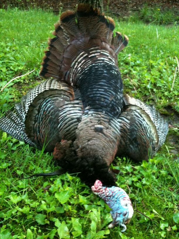 Patoka Sportsman 5-23-20