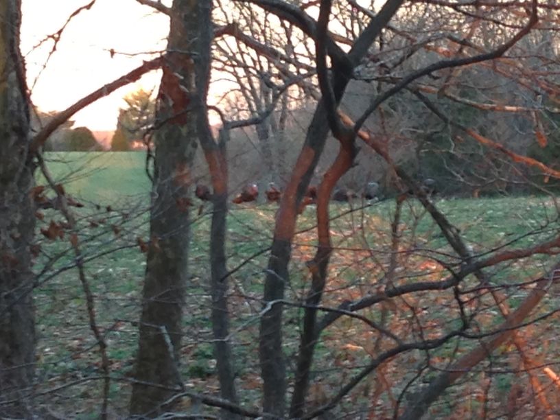 Patoka Sportsman 3-21-20