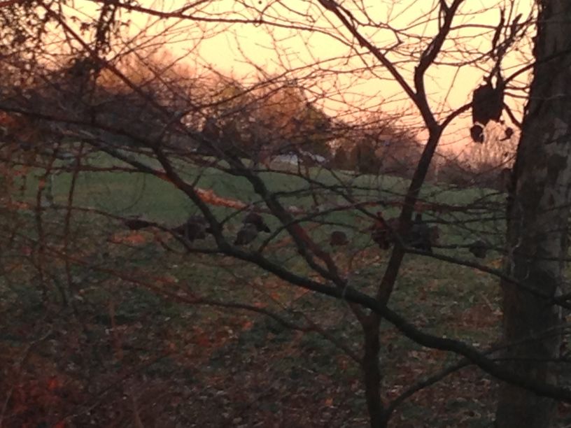 Patoka Sportsman 12-1-18