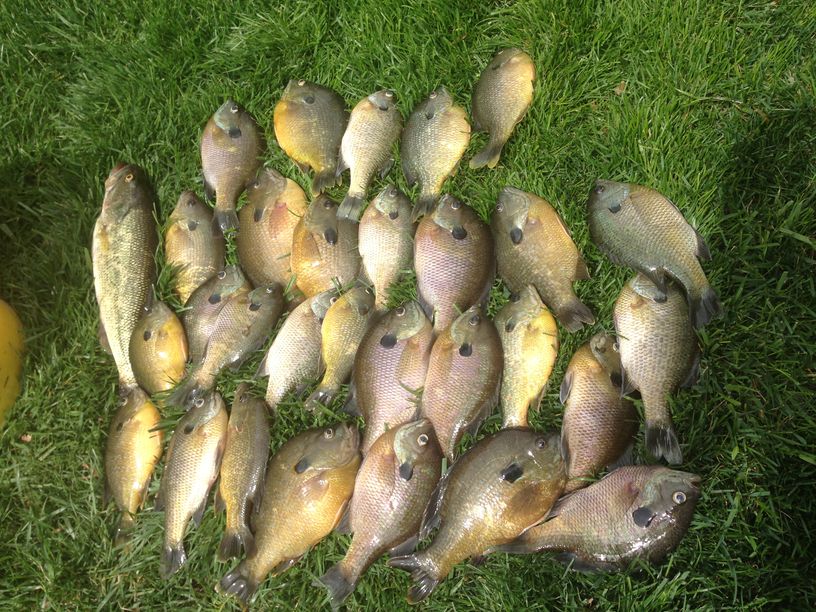 Patoka Sportsman 6-20-20