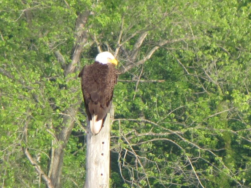 Patoka Sportsman 7-14-18