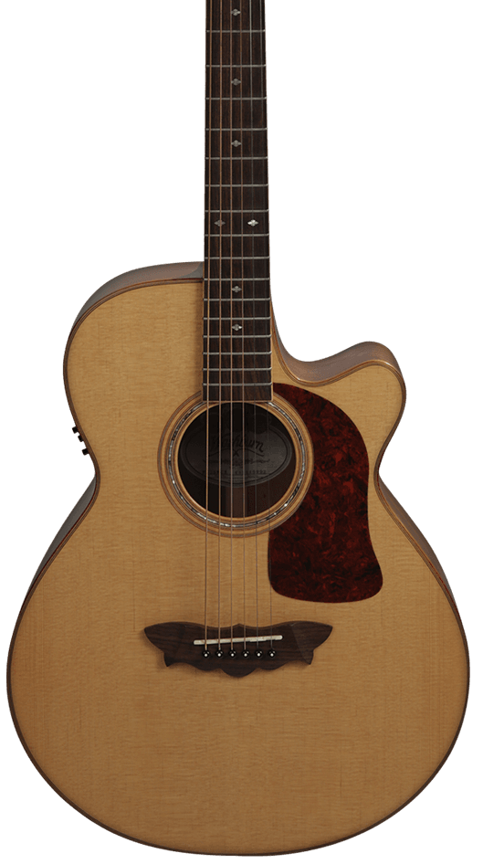Washburn Custom F52SWCE | Kenny Wayne Shepherd