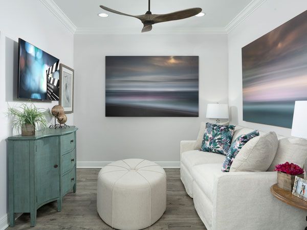 Nevis Model