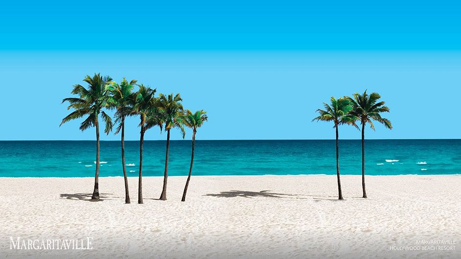 White sand beach with palm trees