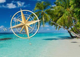 Sea, beach and palm trees