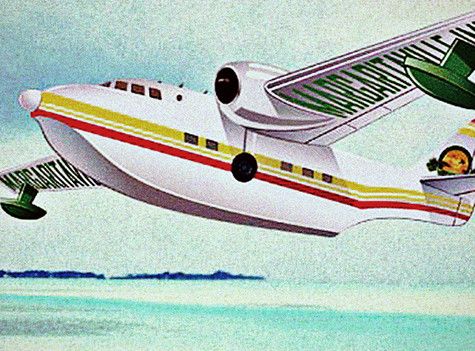 Flying plane picture