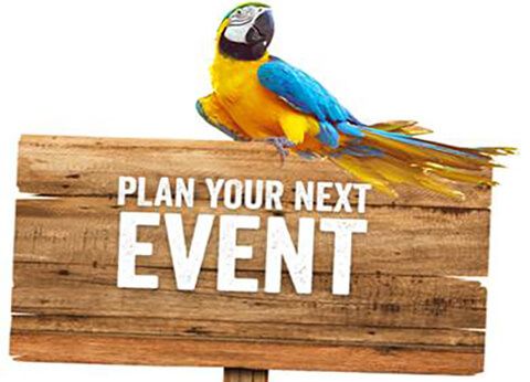 Plan your event wooden sign with a parrot sitting on top