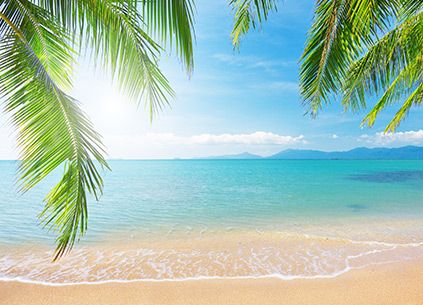 Margaritaville Home Office