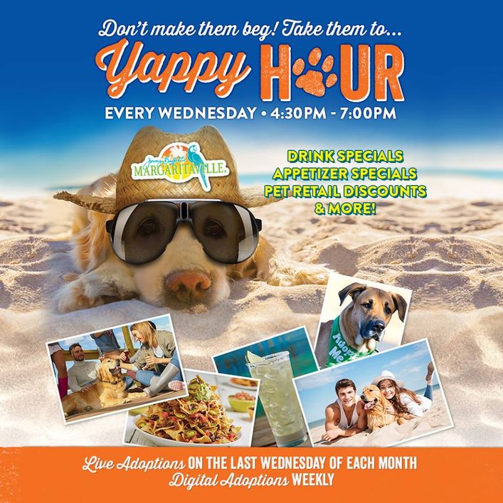 4:30-7:00pm : Yappy Hour