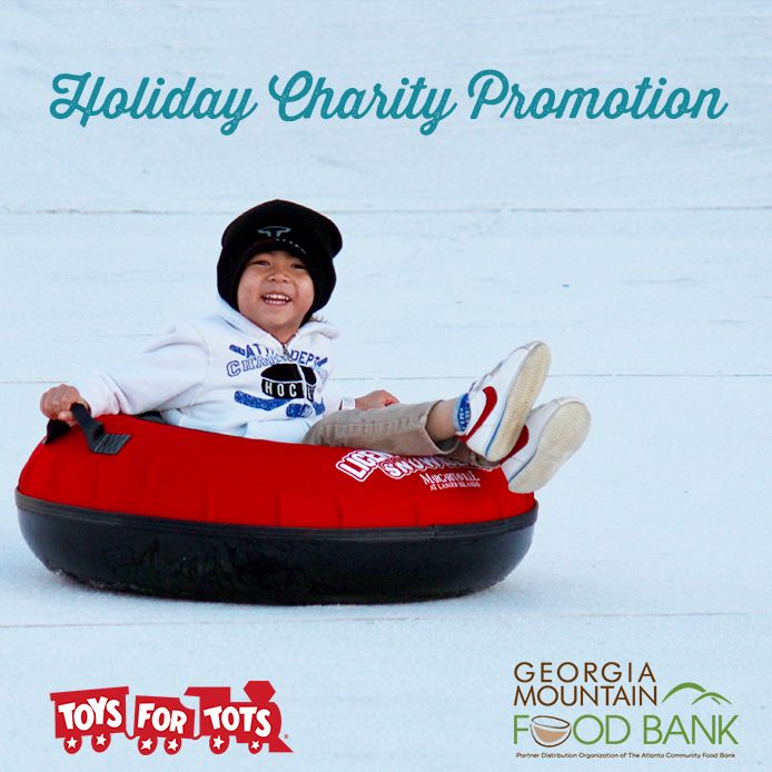 Holiday Charity Promotion
