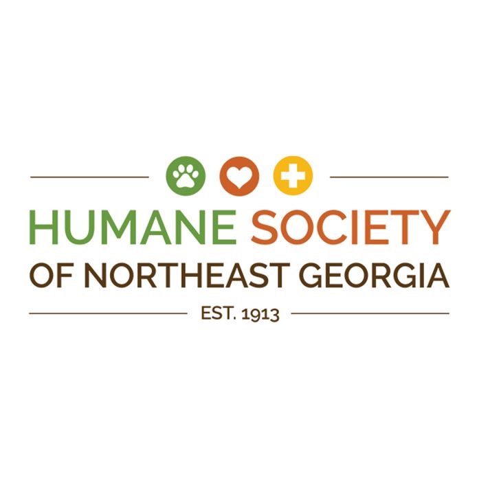 Give Back Wednesdays