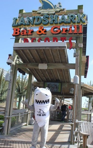 5:00 - 6:00pm : Meet Fins!
