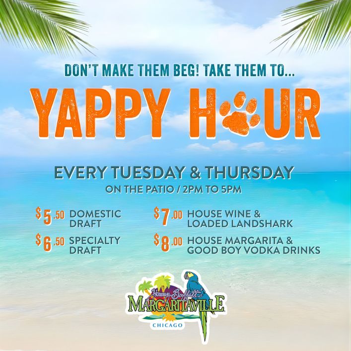 Yappy Hour : 2PM-5PM