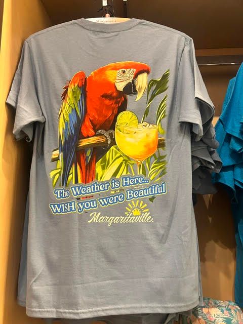 Light blue t-shirt featuring a colorful macaw parrot and tropical drink reading 'The Weather Is Here... Wish You Were Beautiful'