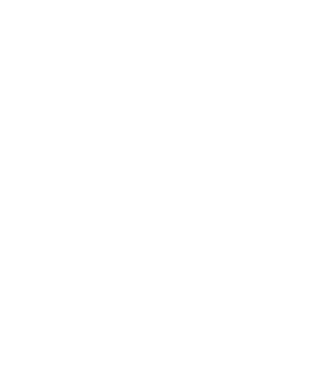 02_BGS Large.png 02_BGS Large.png