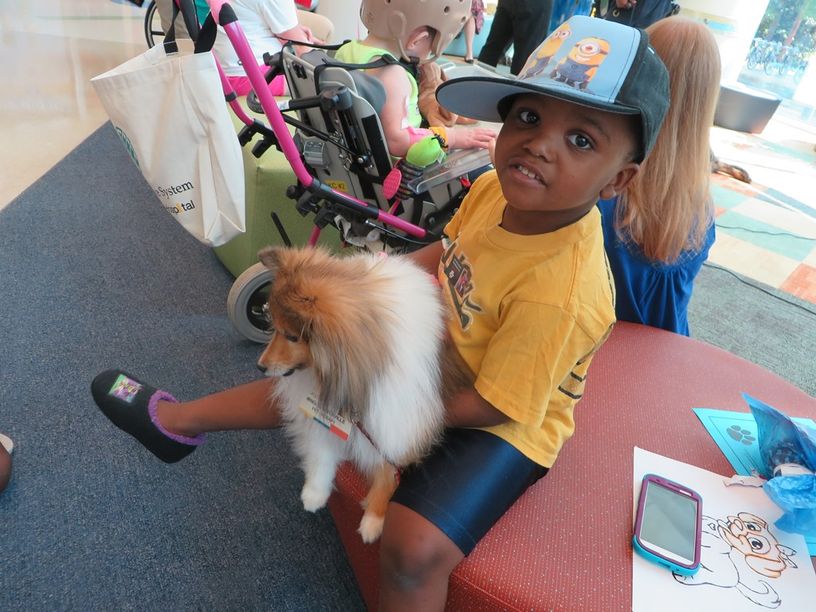 9.jpg 9.jpg